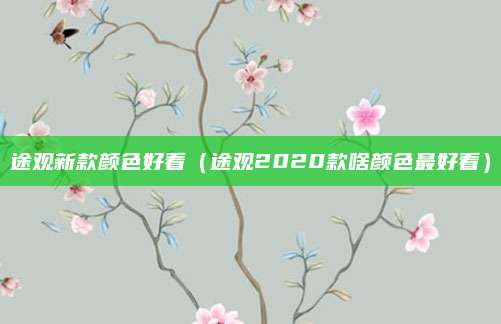 途观新款颜色好看（途观2020款啥颜色最好看）
