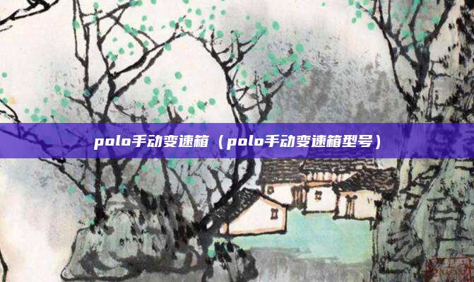 polo手动变速箱(polo手动变速箱型号)